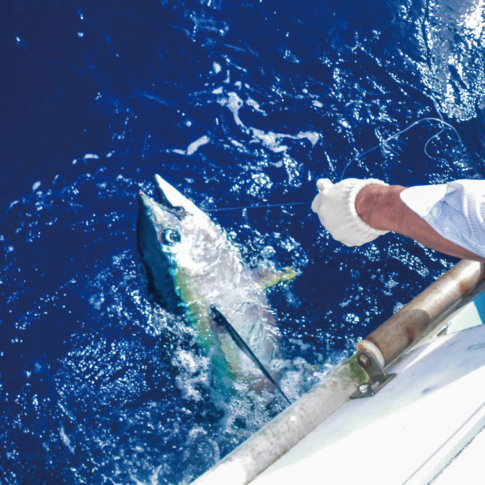 青森遊漁船 マグロキャスティングメニュー